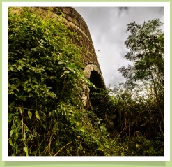 St. Kitts Hash at Bayfords Estate 2012