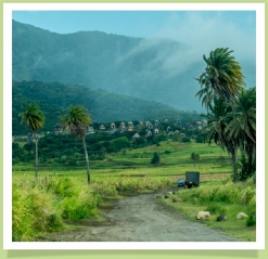 St. Kitts Hash #302 Kittitian Hill